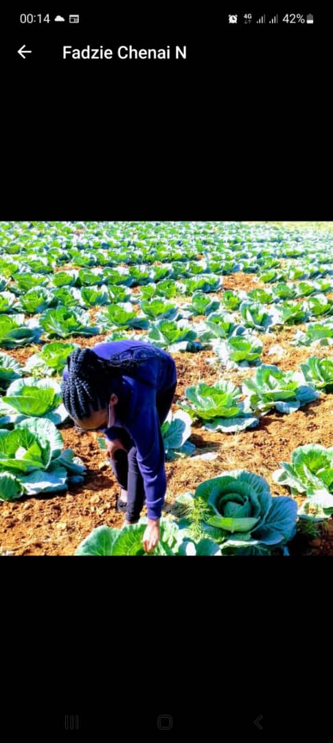 Fertilizers